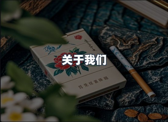 关于我们